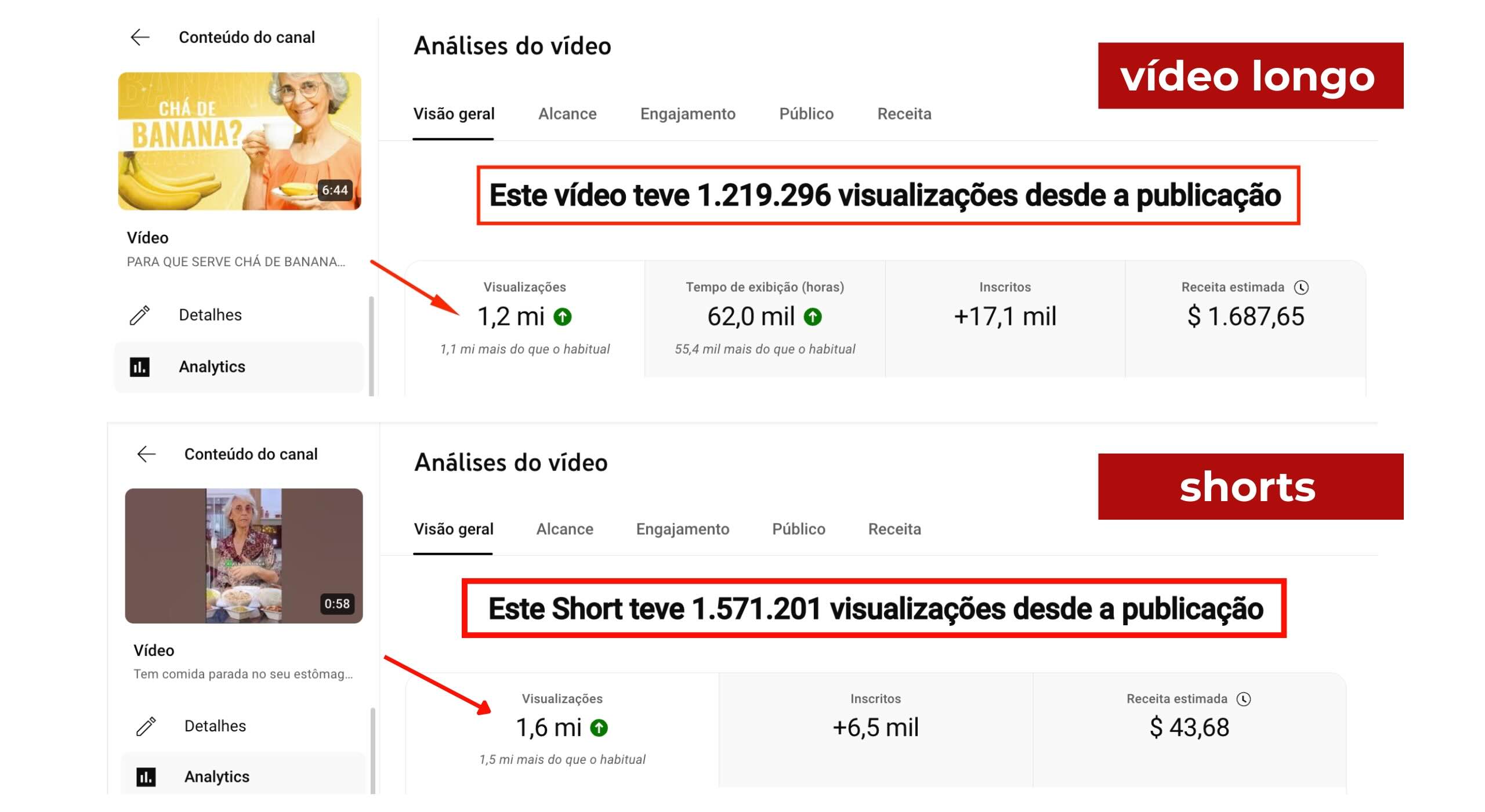 Analytics Angela Xavier