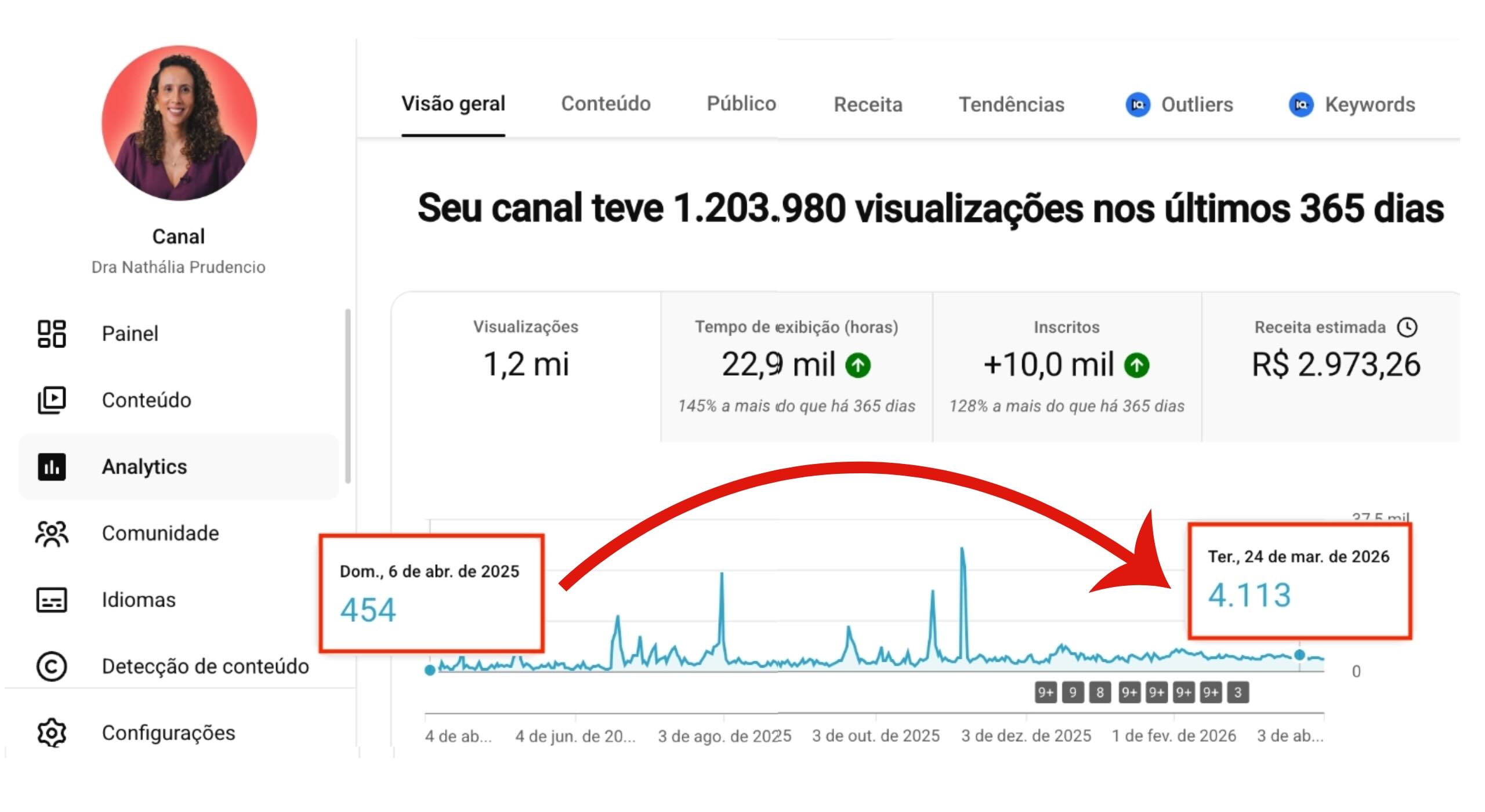 Analytics 12 meses